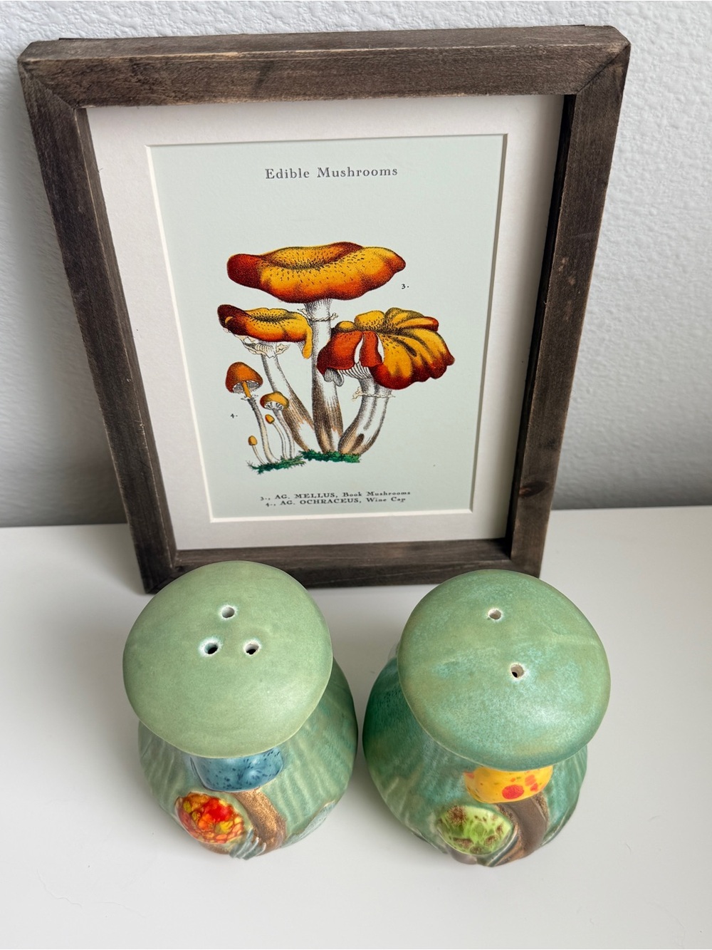 Oversized Mushroom Salt & Pepper Shakers, Merry Mushroom Style, Texas Pottery - Picture 6 of 10